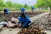 大学毕业后种土豆吗(农业大学毕业回家种地)