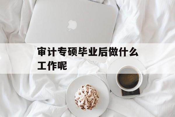 审计专硕毕业后做什么工作呢