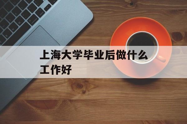 上海大学毕业后做什么工作好