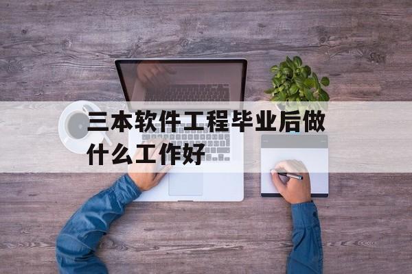 三本软件工程毕业后做什么工作好