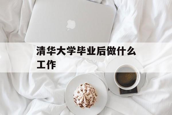 清华大学毕业后做什么工作