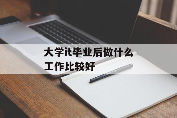 大学it毕业后做什么工作比较好