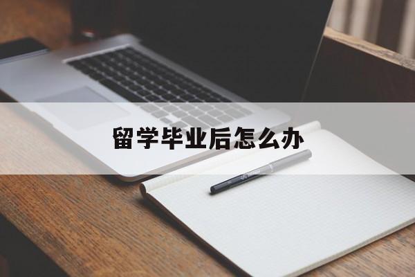 留学毕业后怎么办