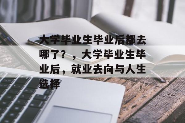 大学毕业生毕业后都去哪了？，大学毕业生毕业后，就业去向与人生选择