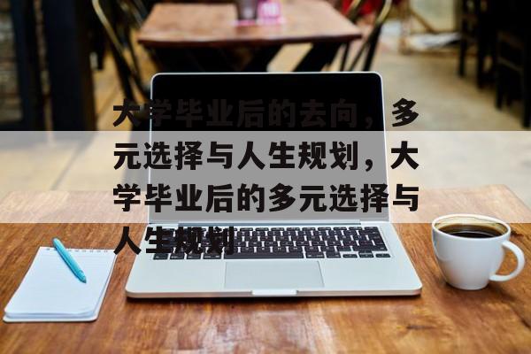 大学毕业后的去向，多元选择与人生规划，大学毕业后的多元选择与人生规划