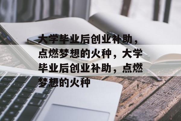 大学毕业后创业补助，点燃梦想的火种，大学毕业后创业补助，点燃梦想的火种