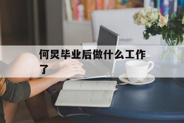 何炅毕业后做什么工作了