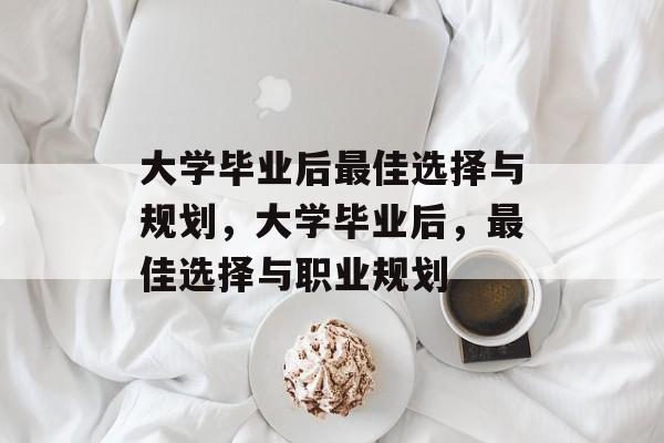 大学毕业后最佳选择与规划，大学毕业后，最佳选择与职业规划