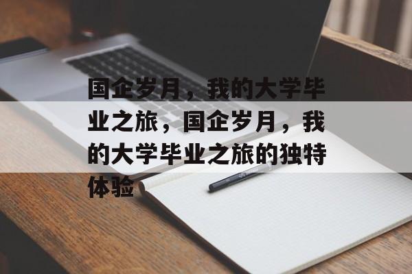 国企岁月，我的大学毕业之旅，国企岁月，我的大学毕业之旅的独特体验