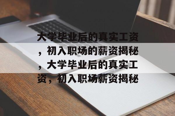 大学毕业后的真实工资，初入职场的薪资揭秘，大学毕业后的真实工资，初入职场薪资揭秘