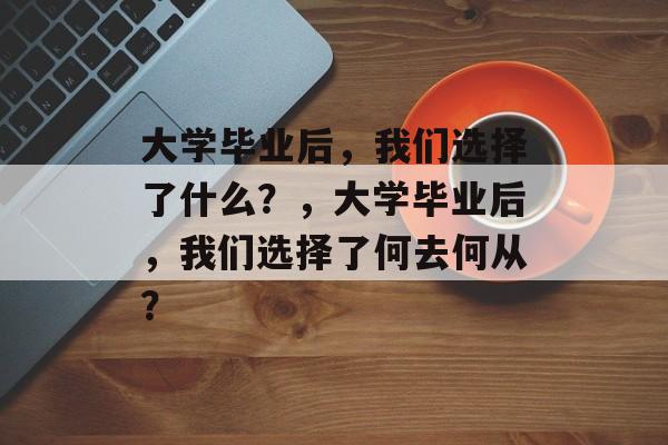 大学毕业后，我们选择了什么？，大学毕业后，我们选择了何去何从？