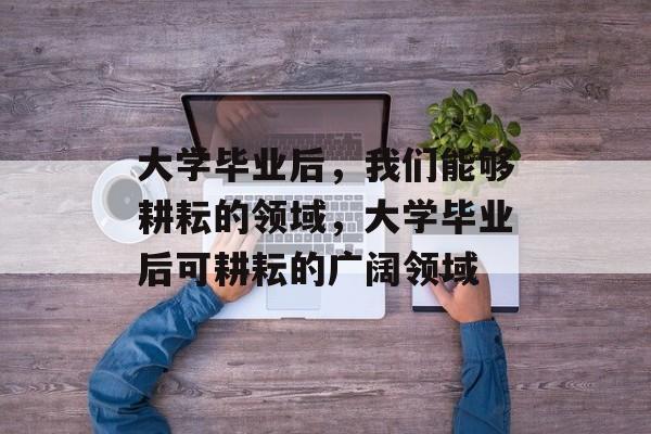 大学毕业后，我们能够耕耘的领域，大学毕业后可耕耘的广阔领域