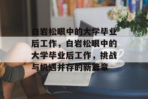 白岩松眼中的大学毕业后工作，白岩松眼中的大学毕业后工作，挑战与机遇并存的新篇章