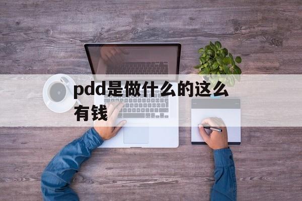 pdd是做什么的这么有钱