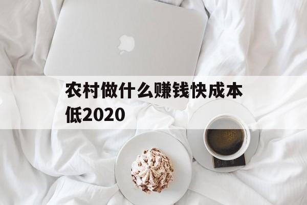 农村做什么赚钱快成本低2020