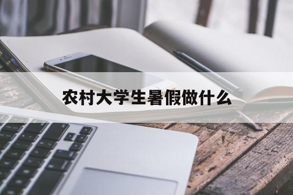 农村大学生暑假做什么