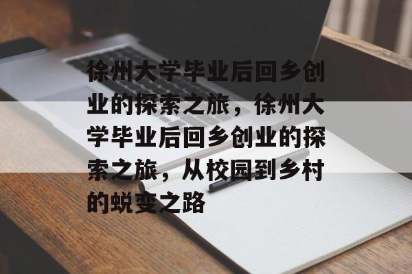 徐州大学毕业后回乡创业的探索之旅，徐州大学毕业后回乡创业的探索之旅，从校园到乡村的蜕变之路