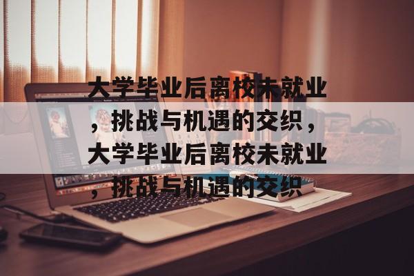 大学毕业后离校未就业，挑战与机遇的交织，大学毕业后离校未就业，挑战与机遇的交织