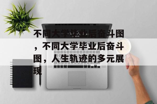 不同大学毕业后奋斗图，不同大学毕业后奋斗图，人生轨迹的多元展现