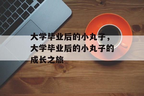 大学毕业后的小丸子，大学毕业后的小丸子的成长之旅