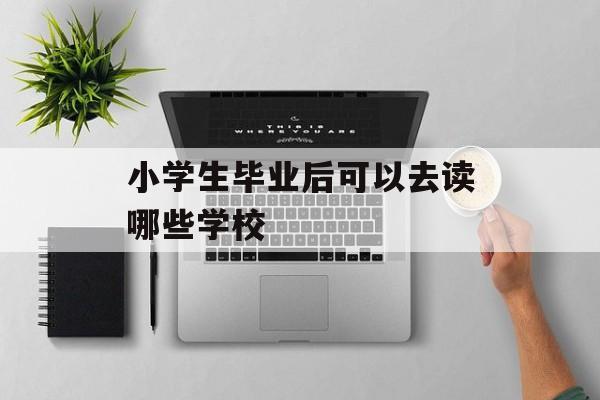 小学生毕业后可以去读哪些学校