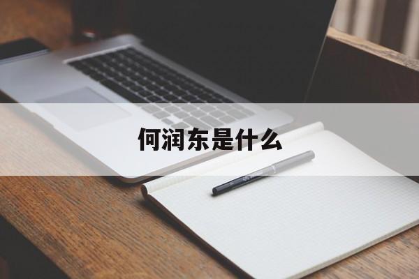 何润东是什么