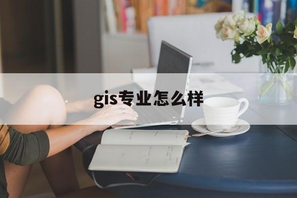 gis专业怎么样