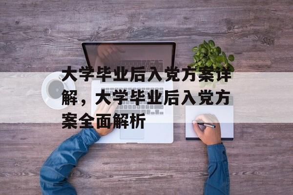 大学毕业后入党方案详解，大学毕业后入党方案全面解析