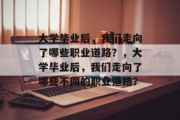 大学毕业后，我们走向了哪些职业道路？，大学毕业后，我们走向了哪些不同的职业道路？