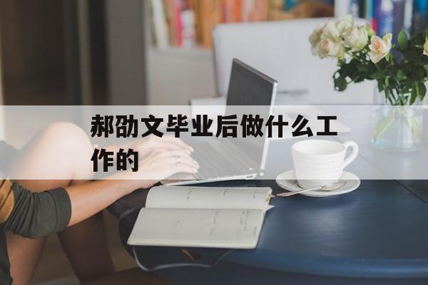 郝劭文毕业后做什么工作的