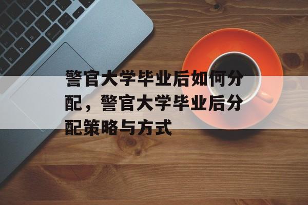 警官大学毕业后如何分配，警官大学毕业后分配策略与方式