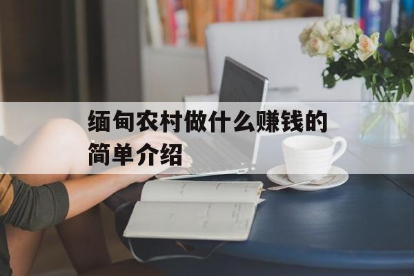 缅甸农村做什么赚钱的简单介绍