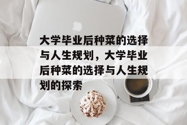 大学毕业后种菜的选择与人生规划，大学毕业后种菜的选择与人生规划的探索