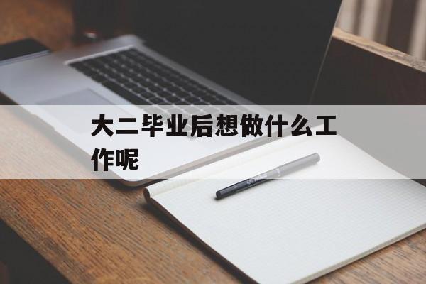 大二毕业后想做什么工作呢