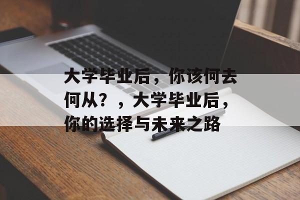 大学毕业后，你该何去何从？，大学毕业后，你的选择与未来之路