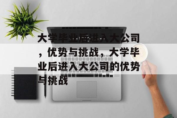 大学毕业后进入大公司，优势与挑战，大学毕业后进入大公司的优势与挑战