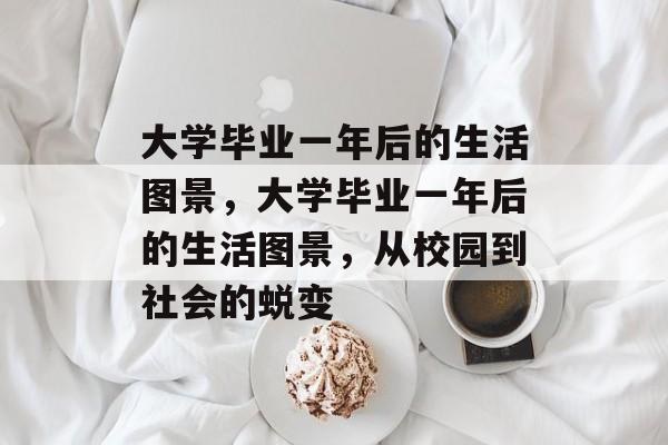 大学毕业一年后的生活图景，大学毕业一年后的生活图景，从校园到社会的蜕变