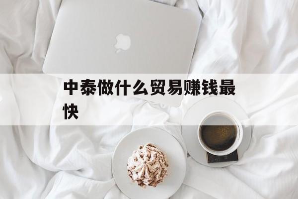 中泰做什么贸易赚钱最快