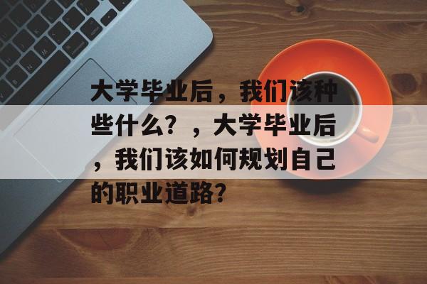 大学毕业后，我们该种些什么？，大学毕业后，我们该如何规划自己的职业道路？