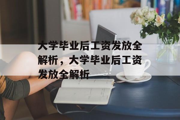 大学毕业后工资发放全解析，大学毕业后工资发放全解析