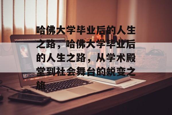 哈佛大学毕业后的人生之路，哈佛大学毕业后的人生之路，从学术殿堂到社会舞台的蜕变之旅