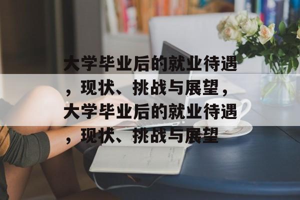 大学毕业后的就业待遇，现状、挑战与展望，大学毕业后的就业待遇，现状、挑战与展望