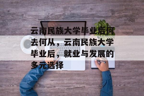 云南民族大学毕业后何去何从，云南民族大学毕业后，就业与发展的多元选择