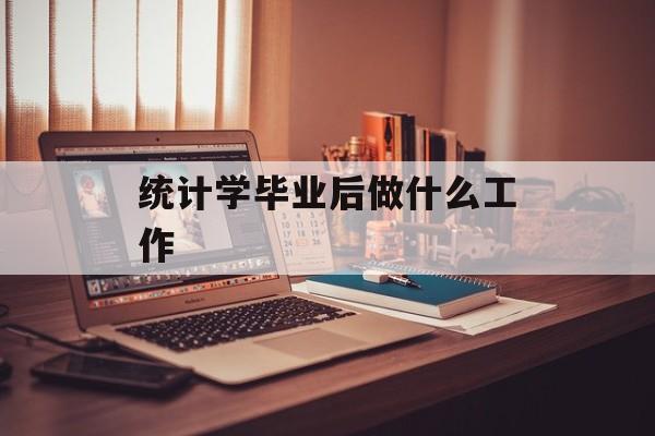 统计学毕业后做什么工作