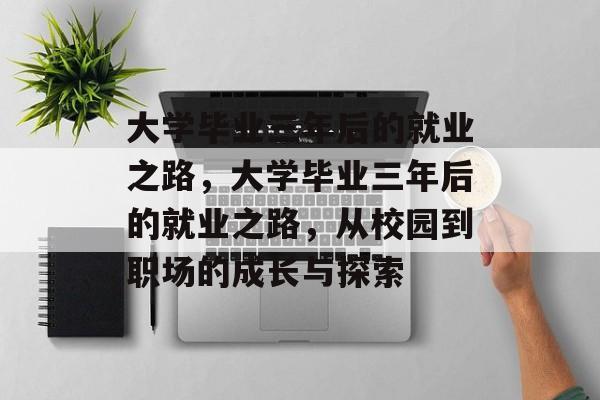 大学毕业三年后的就业之路，大学毕业三年后的就业之路，从校园到职场的成长与探索