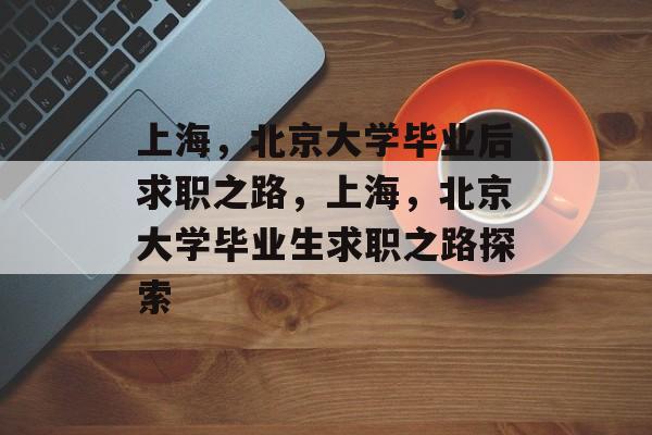 上海，北京大学毕业后求职之路，上海，北京大学毕业生求职之路探索