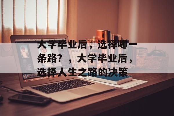 大学毕业后，选择哪一条路？，大学毕业后，选择人生之路的决策