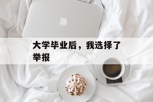 大学毕业后，我选择了举报