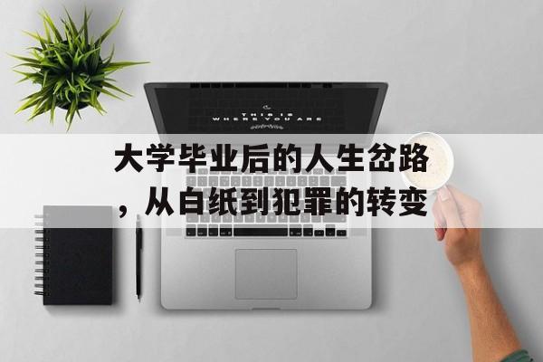 大学毕业后的人生岔路，从白纸到犯罪的转变