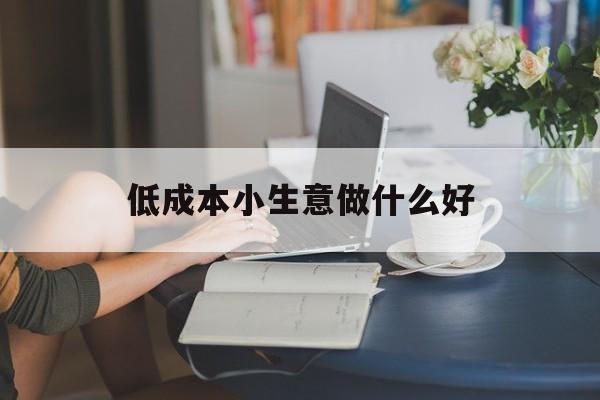 低成本小生意做什么好